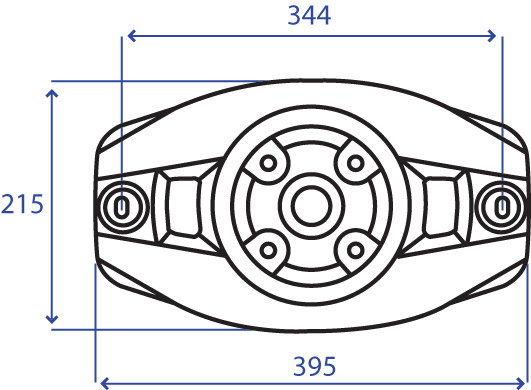 Disegno RM38-300